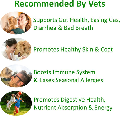 TummyWorks Probiotics for Dogs – 120 Soft Chews for Digestive Health & Immunity