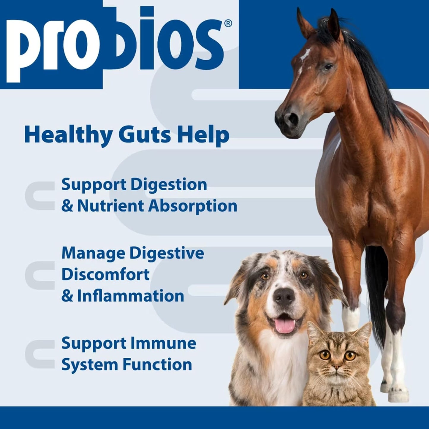Probios Digestive Support Probiotic for Dogs, Horses, Cats - 240 Grammes - görsel 4