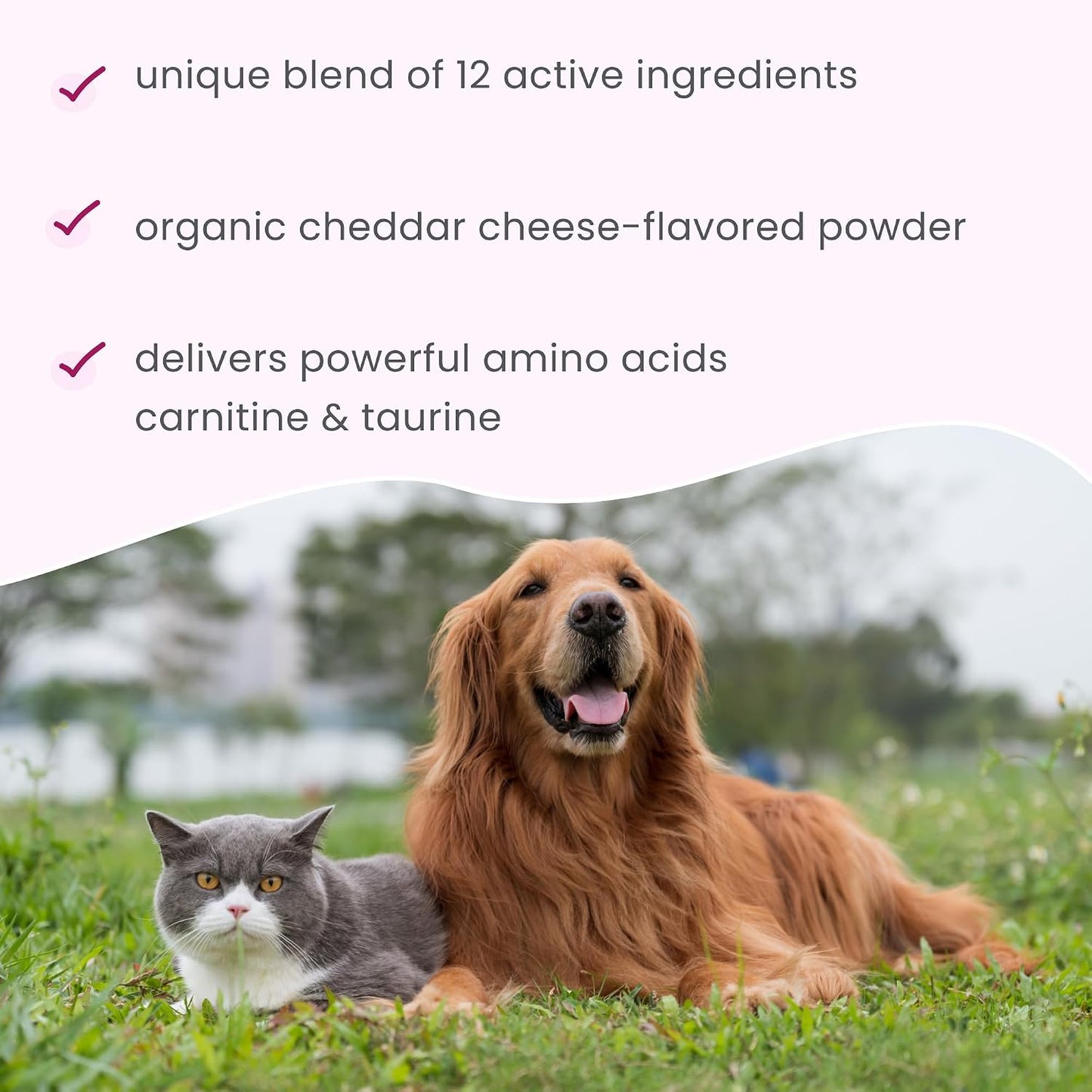 Bark & Whiskers Heart Health - Cardiovascular Support for Dogs & Cats - Taurine & L-Carnitine Powder - 3.17 oz (90 Scoops) - görsel 5