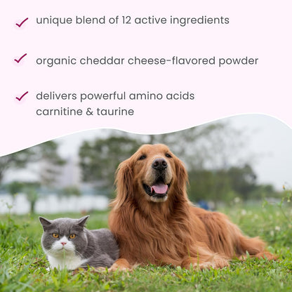 Bark & Whiskers Heart Health - Cardiovascular Support for Dogs & Cats - Taurine & L-Carnitine Powder - 3.17 oz (90 Scoops)