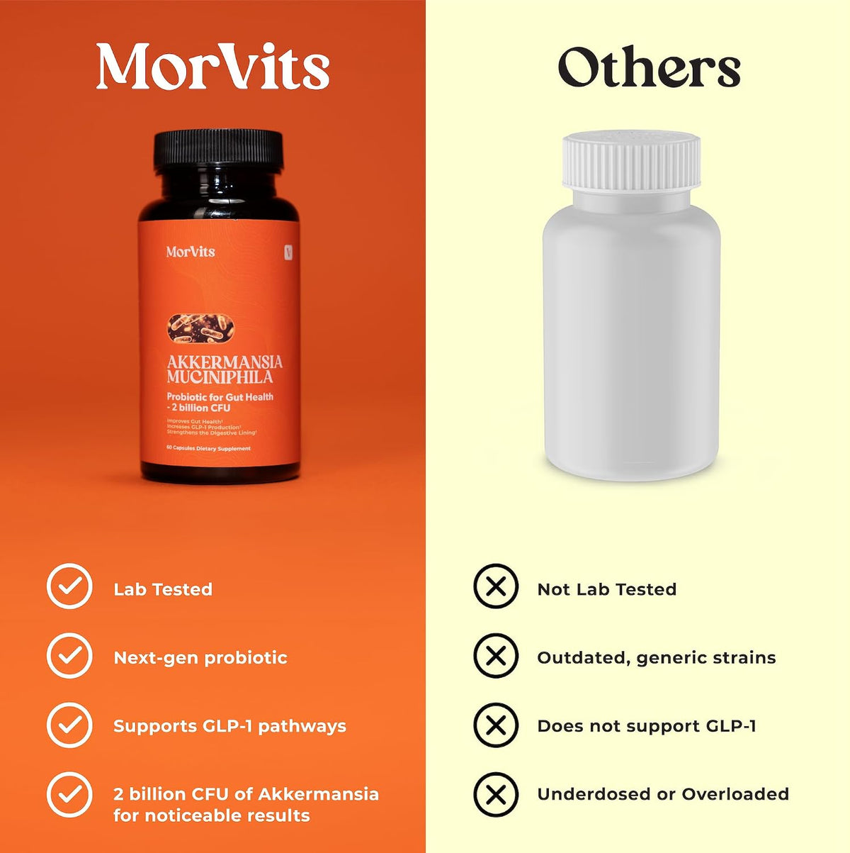 Morvits Akkermansia Probiotic with Prebiotic Fibre - 60 Capsules - görsel 5