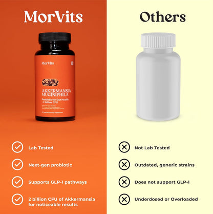 Morvits Akkermansia Probiotic with Prebiotic Fibre - 60 Capsules