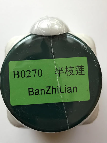 Ban Zhi Lian – Barbed Skullcap, 100g Herbal Granules