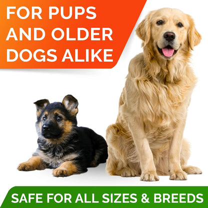 STRELLALAB Omega-3 Salmon Oil Dog Chews (180 Chews)