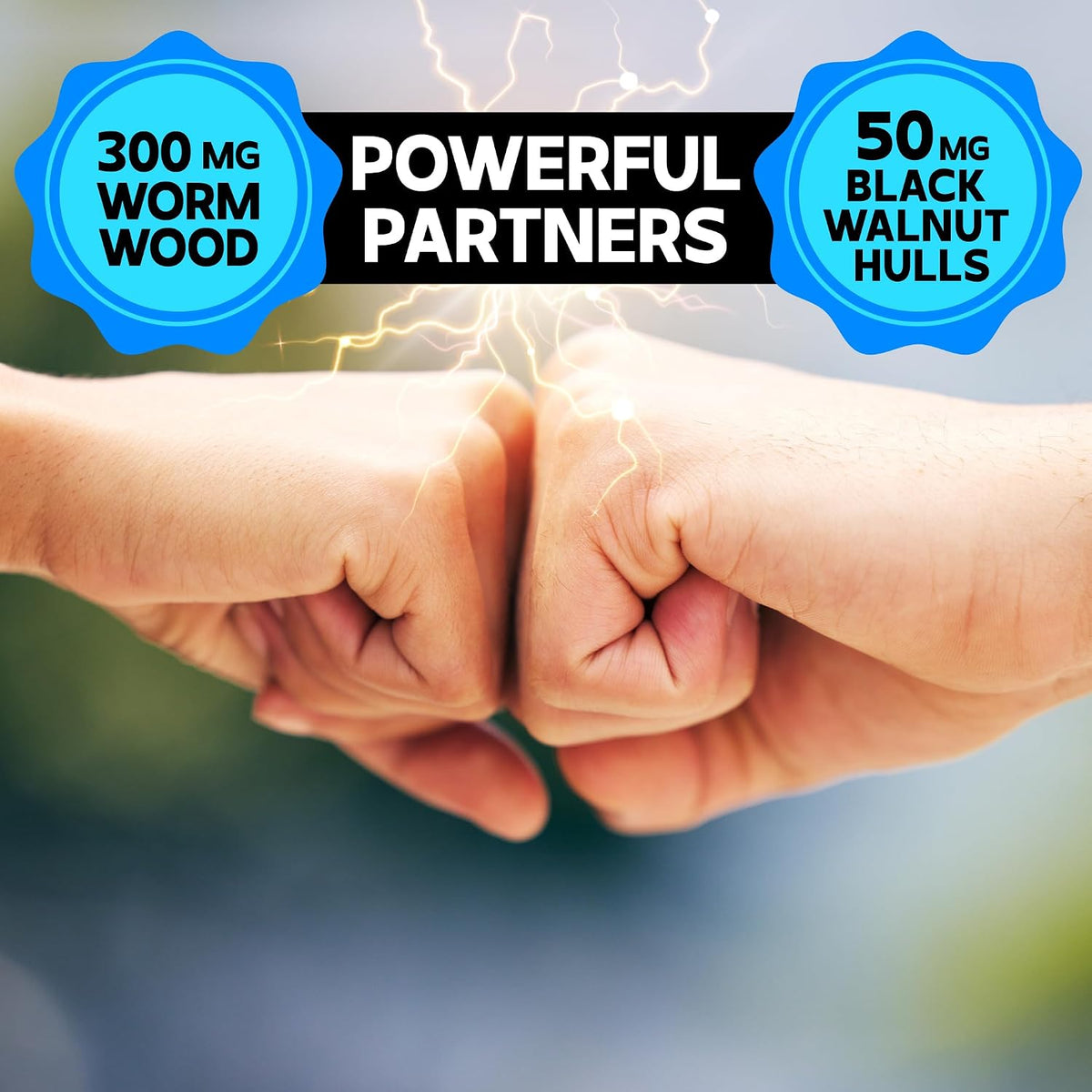 DEDICAD Premium Wormwood Extract Capsules - 5 Month Supply - 12 Herbs Blend with Black Walnut, Ginger, Turmeric & More - 150 Counts - görsel 5