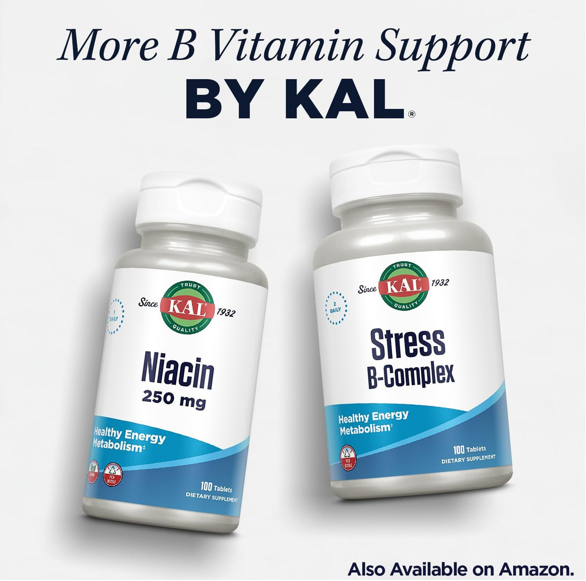 Kal 800 Mcg Folic Acid Methyl B-12 Tablets, Raspberry, 60 Count - görsel 6
