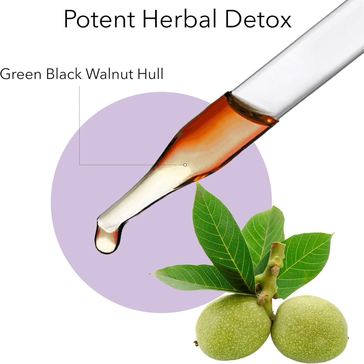 Wormwood Herb Supplement Kit - Black Walnut, Clove, Quassia - Herbal Detox Cleanse Capsules - görsel 8