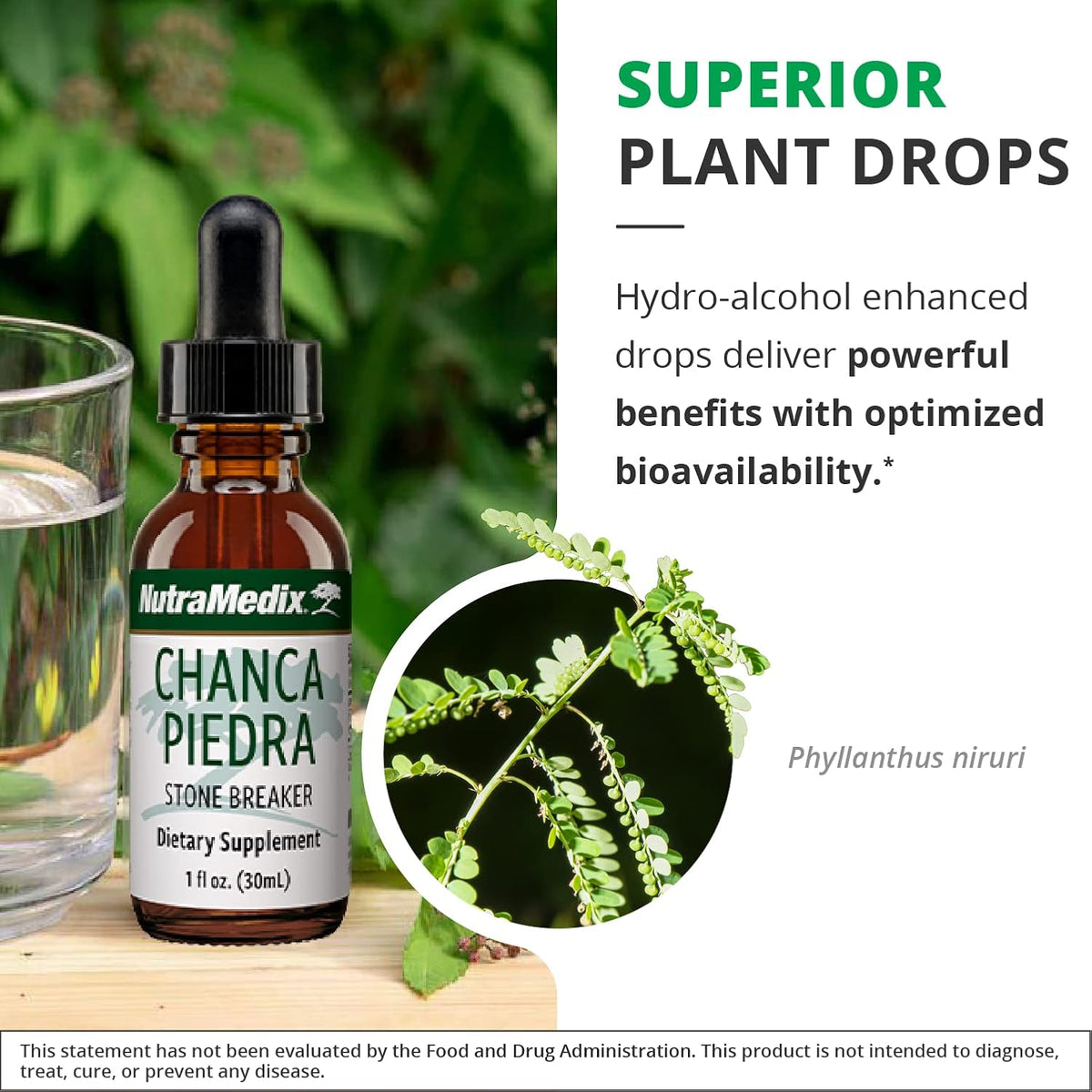 NutraMedix Chanca Piedra Stone Breaker Drops – Liquid Supplement for Kidney, Liver, Gallbladder & Urinary Support (30 ml) - görsel 5