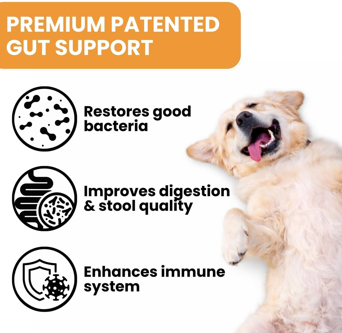 TRATEZ Probiotics for Dogs - Bacillus Coagulans & Prebiotic Fibre Soft Chews - Digestive and Immune Support - Duck Flavour - 90 Count - görsel 2