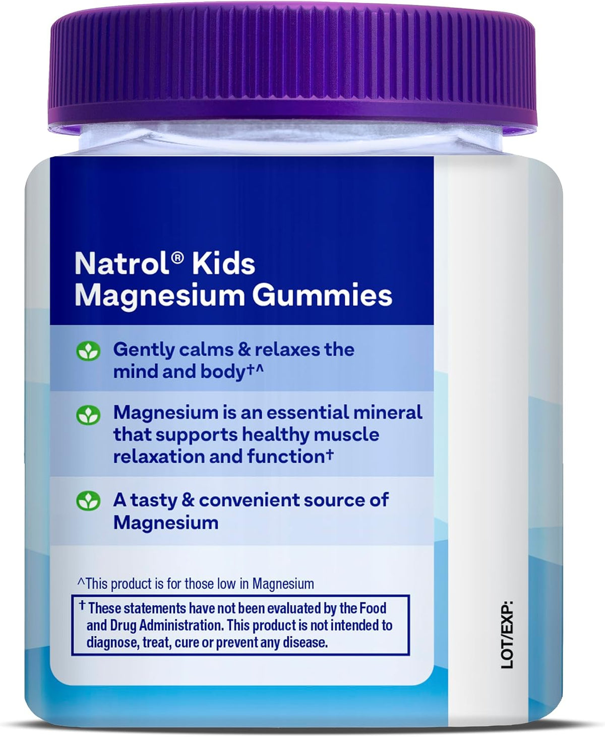 Natrol Kids Magnesium Citrate Gummies, Raspberry Flavour, 30 Chews – Food Supplement - görsel 9