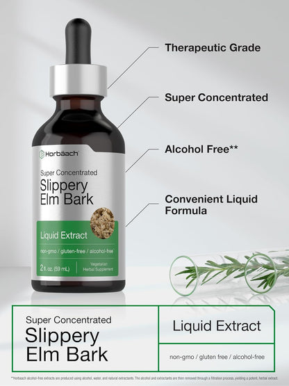 Horbäach Slippery Elm Liquid Drops | 60 ml | Alcohol-Free Bark Extract Tincture | Non-GMO, Gluten-free