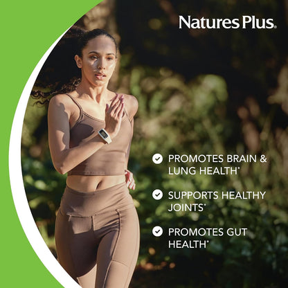 NaturesPlus PRO Berberine 1500 mg - 60 Tablets - Supports Healthy Metabolism - Non-GMO, Vegan & Gluten-free - 30 Servings