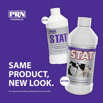 PRN Pharmacal STAT High-Calorie Nutritional Supplement for Dogs and Animals, Vanilla Flavour, 473 ml