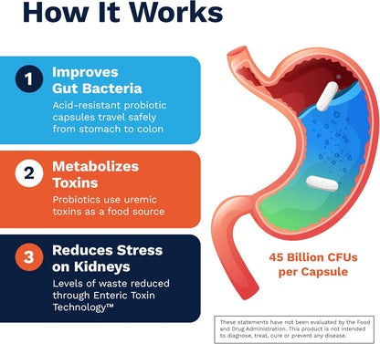 Kibow Renadyl – Kidney Probiotic Supplement with 45 Billion CFUs, 180 Capsules (3-Month Supply)
