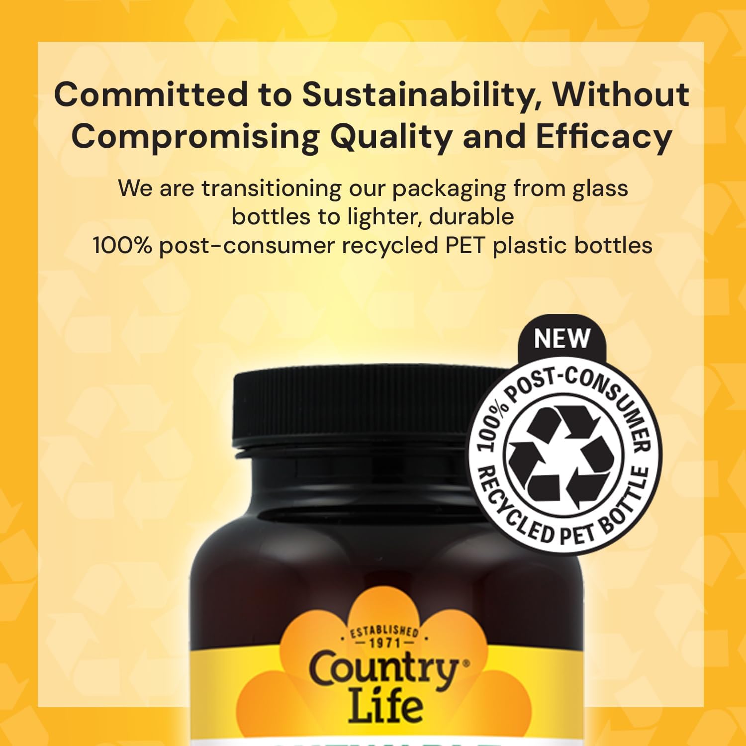 Country Life Vitamin B12 1000 mcg - Vegan & Gluten-Free Food Supplement for Energy and Brain Health - görsel 4