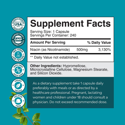 Vitamin B3 Niacinamide 500mg Capsules – Flush Free Nicotinamide for Energy and Skin Support – 240 Count