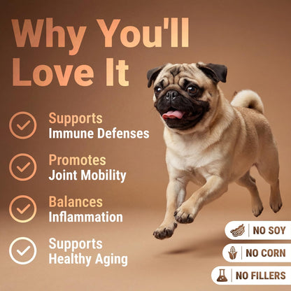 Mighty Mushroom Supplement for Dogs - Turkey – May enhance vitality in senior dogs: By supporting multiple body – Image 4