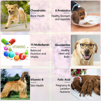 15-in-1 Dog Multivitamin Liquid - All-in-One Supplement for Digestive, Skin, Coat, Hip & Joint Support (60 ml)
