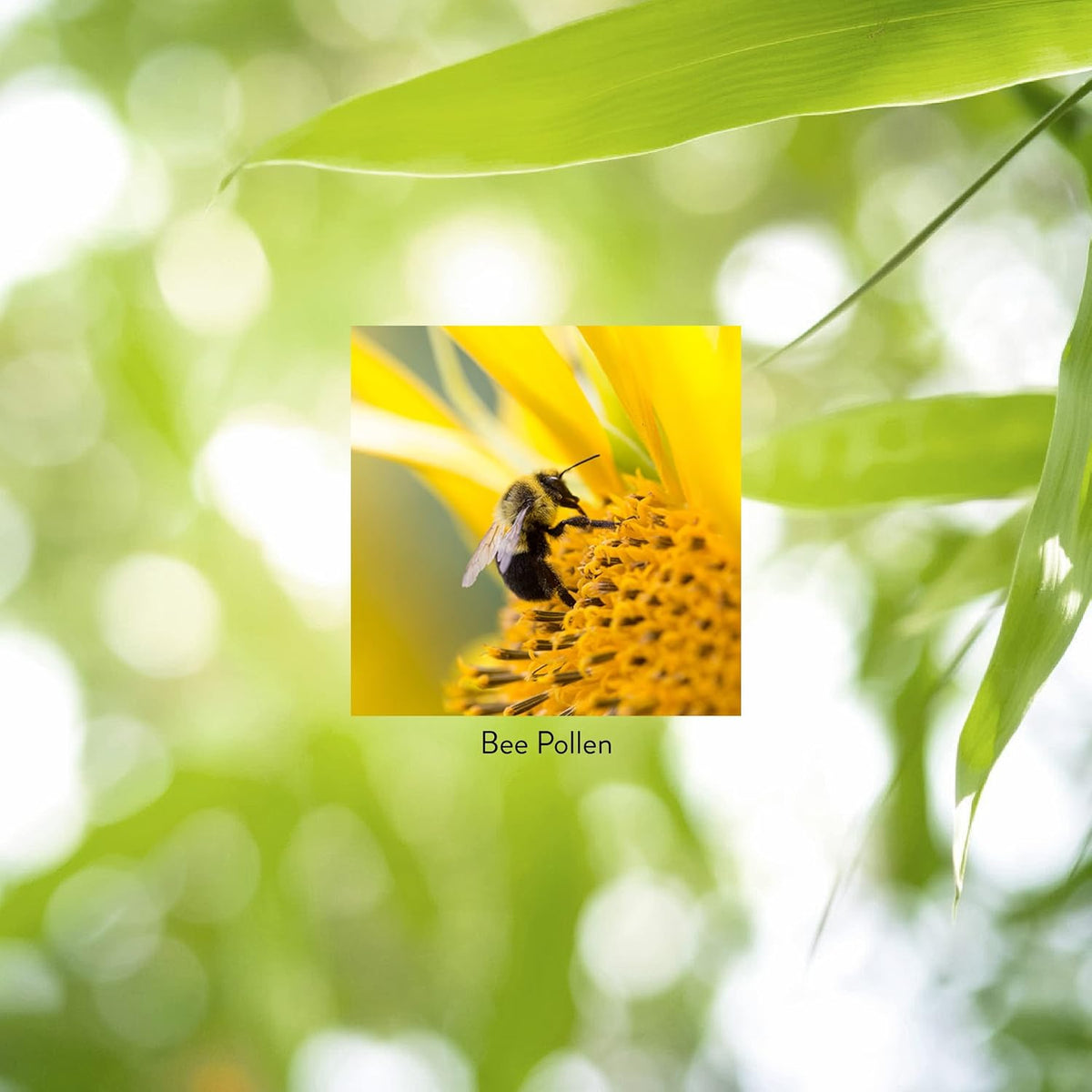 Nature's Sunshine Bee Pollen, 100 Capsules - görsel 5