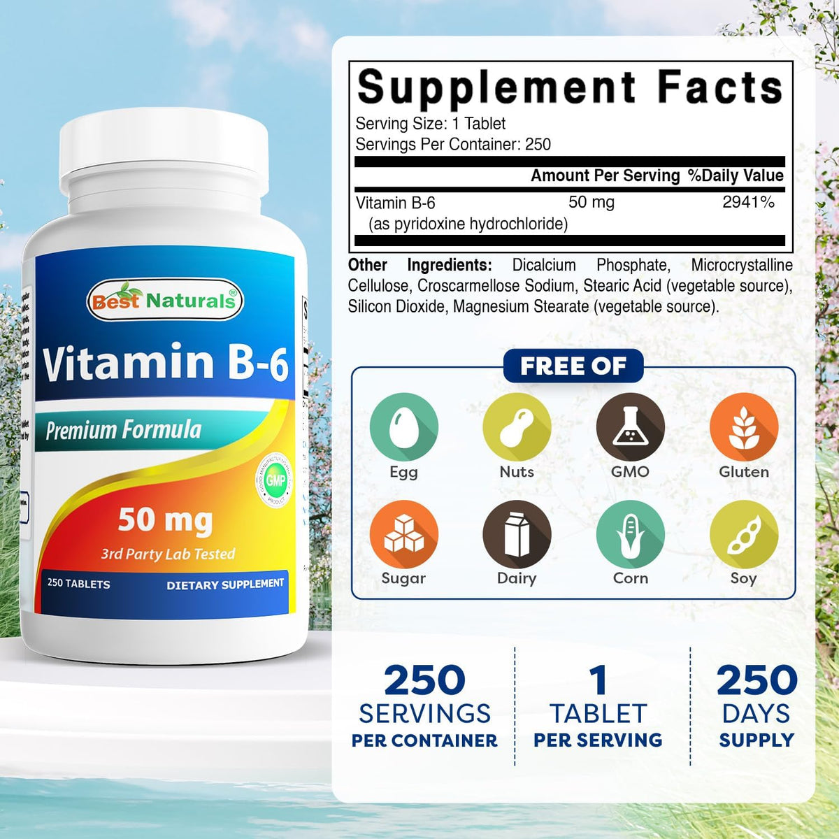 Best Naturals Vitamin B6 50 mg, 250 Tablets - görsel 2