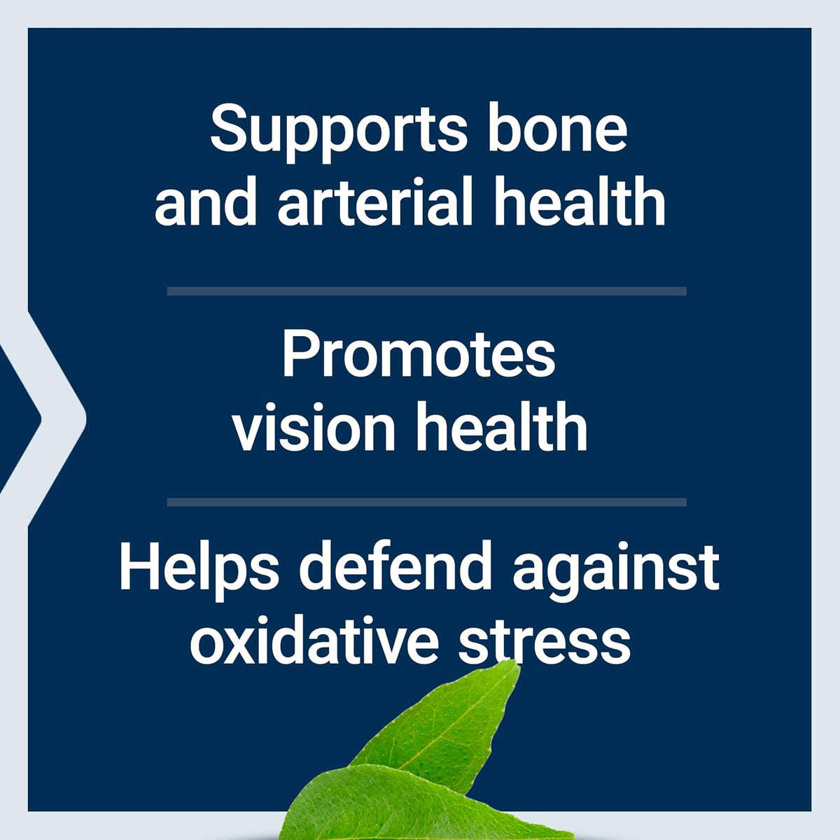 Life Extension Once-Daily Health Booster - Daily Multivitamin with Vitamin K, E, Saffron & Lutein - 60 Softgels - görsel 4