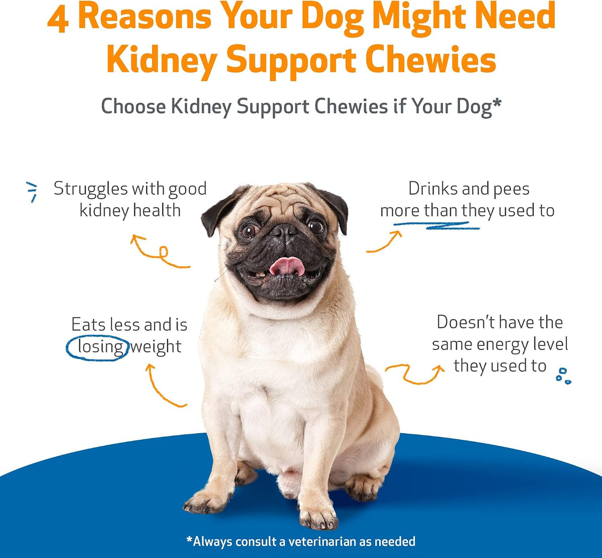 Pet Wellbeing Kidney Support Chewies for Dogs – Vet-Formulated Herbal Soft Chews – 90 Count - görsel 3