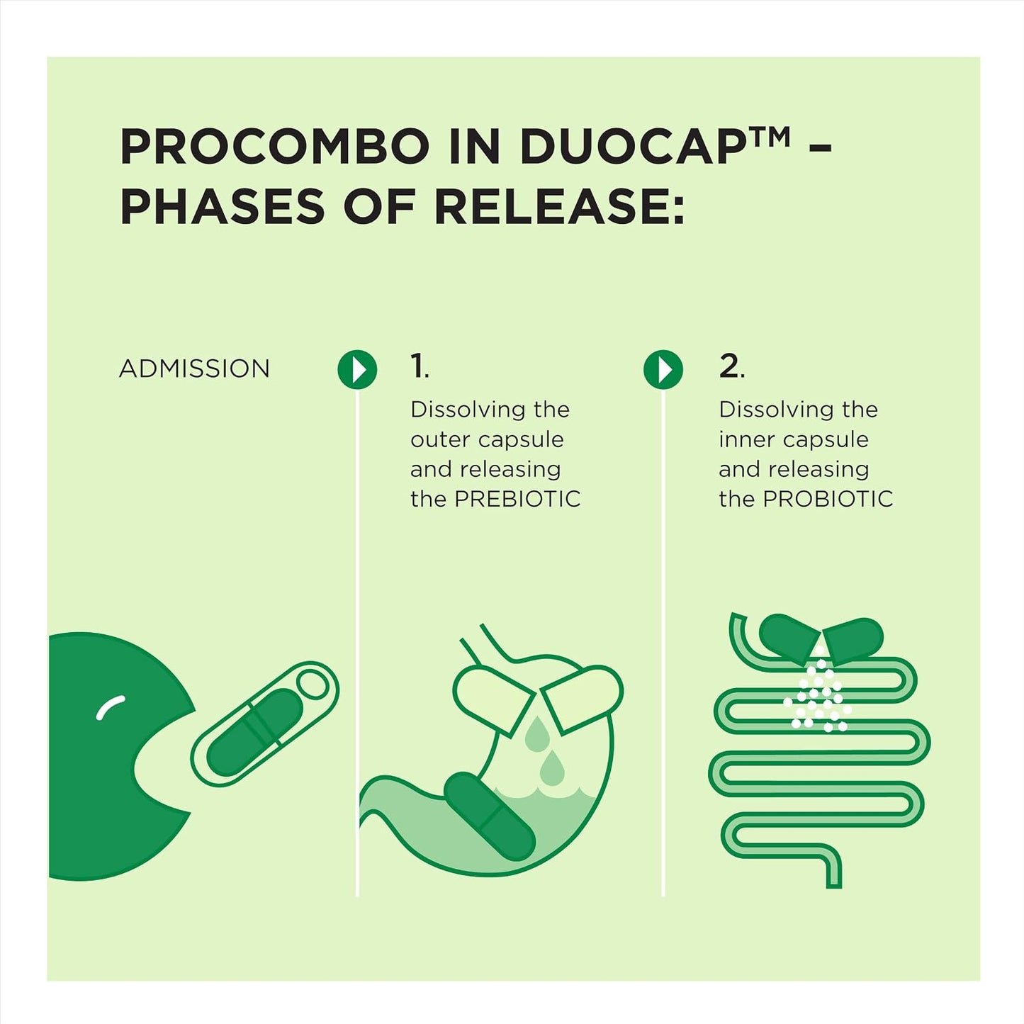 ProCombo Synbiotic – Double Capsule with Targeted Delivery, 1 Capsule per Day, Laboratory Tested (Pack of 1) - görsel 7