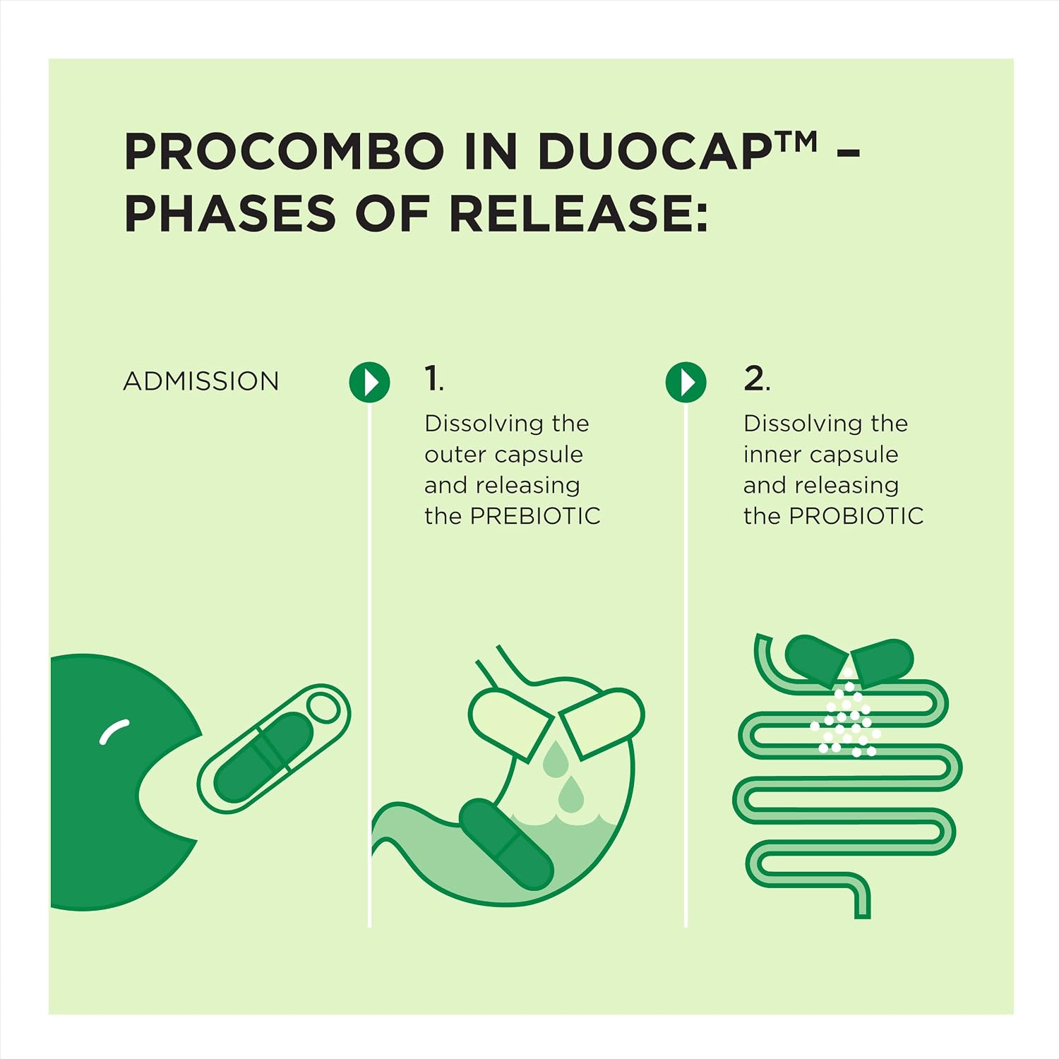 ProCombo Synbiotic – Double Capsule with Targeted Delivery, 1 Capsule per Day, Laboratory Tested (Pack of 1) - görsel 7