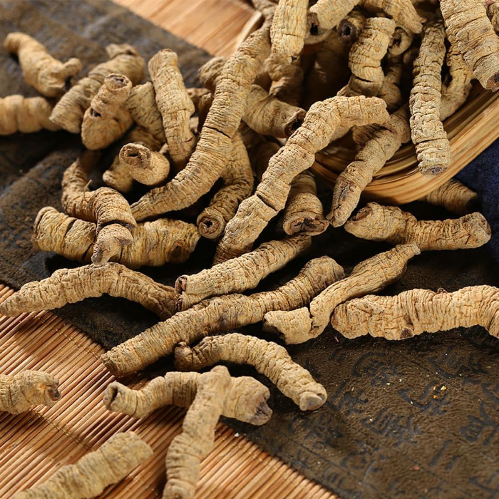 500g Organic Radix Morindae Officinalis (Bajitian) – Bulk Herbal Supplement - görsel 4