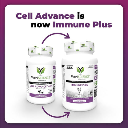 VetriScience Immunity Health Immune Plus Supplement for Small Dogs – Easy-to-Open Capsules with Antioxidants, CoQ10 and Vitamins (60 Capsules)