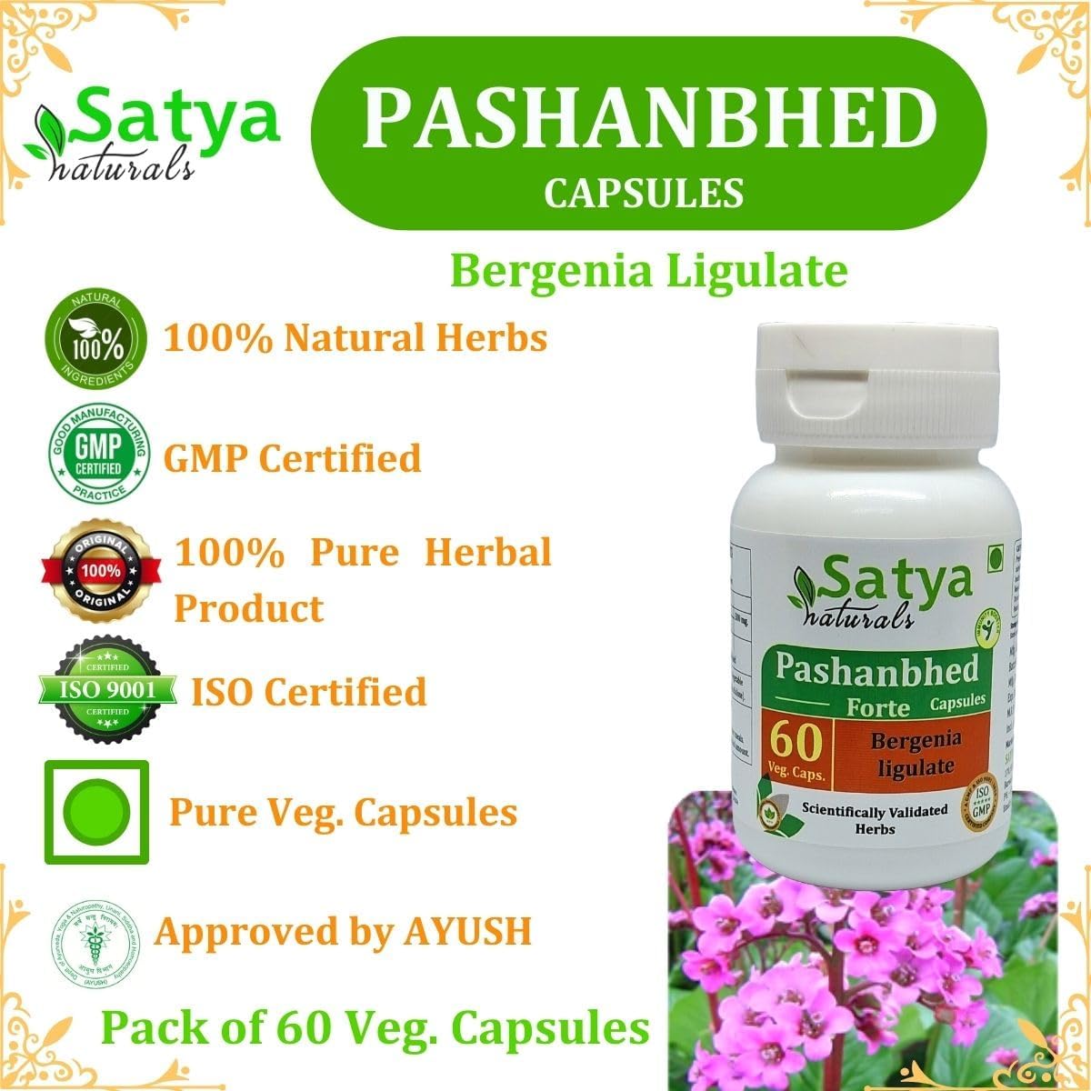 Satya Naturals Pashanbhed Forte 500 mg - 60 Vegetarian Capsules - görsel 5