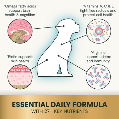 VetriScience Canine Plus Daily Multivitamin – B-Complex Vitamins – Involved in energy metabolism, these vitamins – Image 4