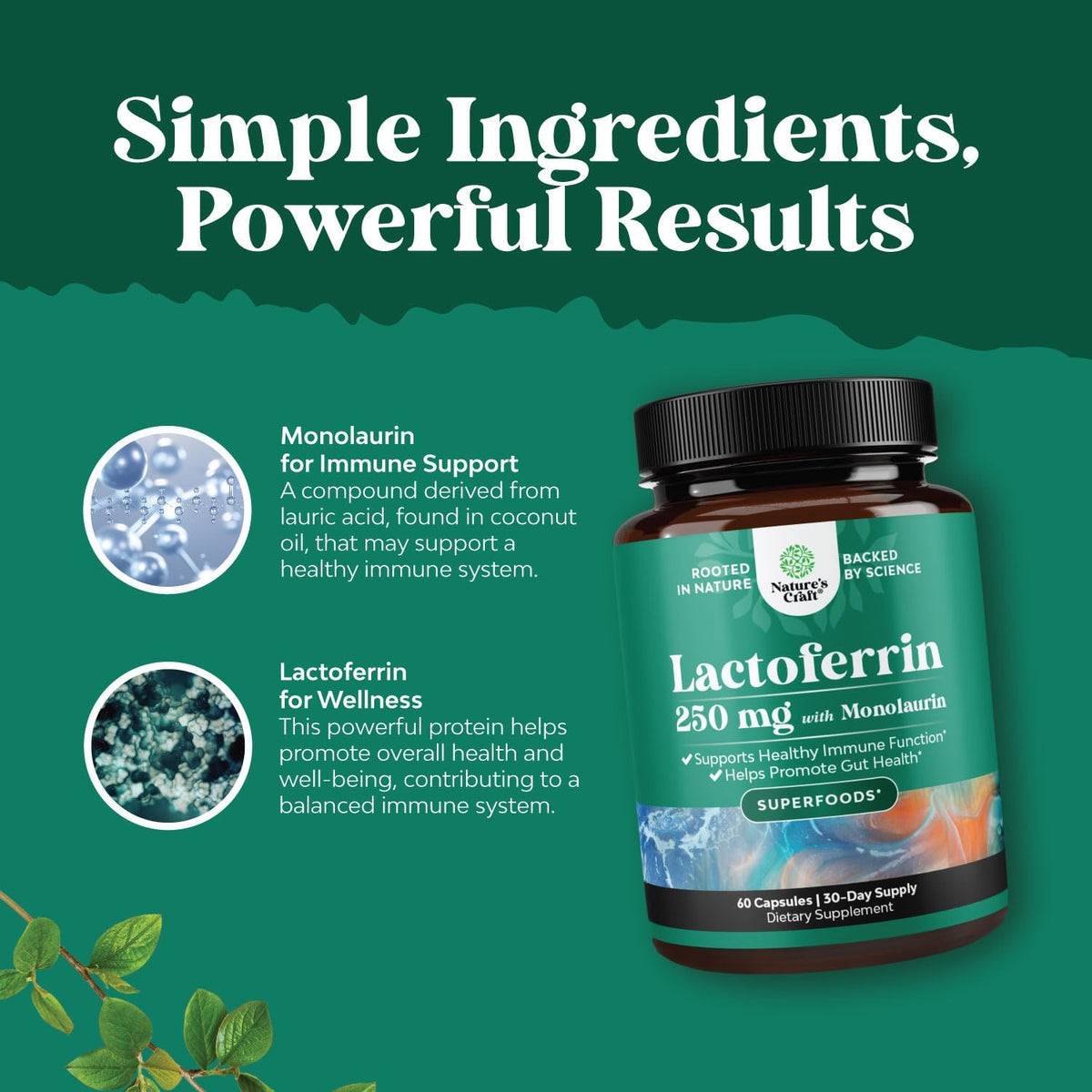 High Strength Lactoferrin & Monolaurin Supplement - 60 Vegetarian Capsules - görsel 4