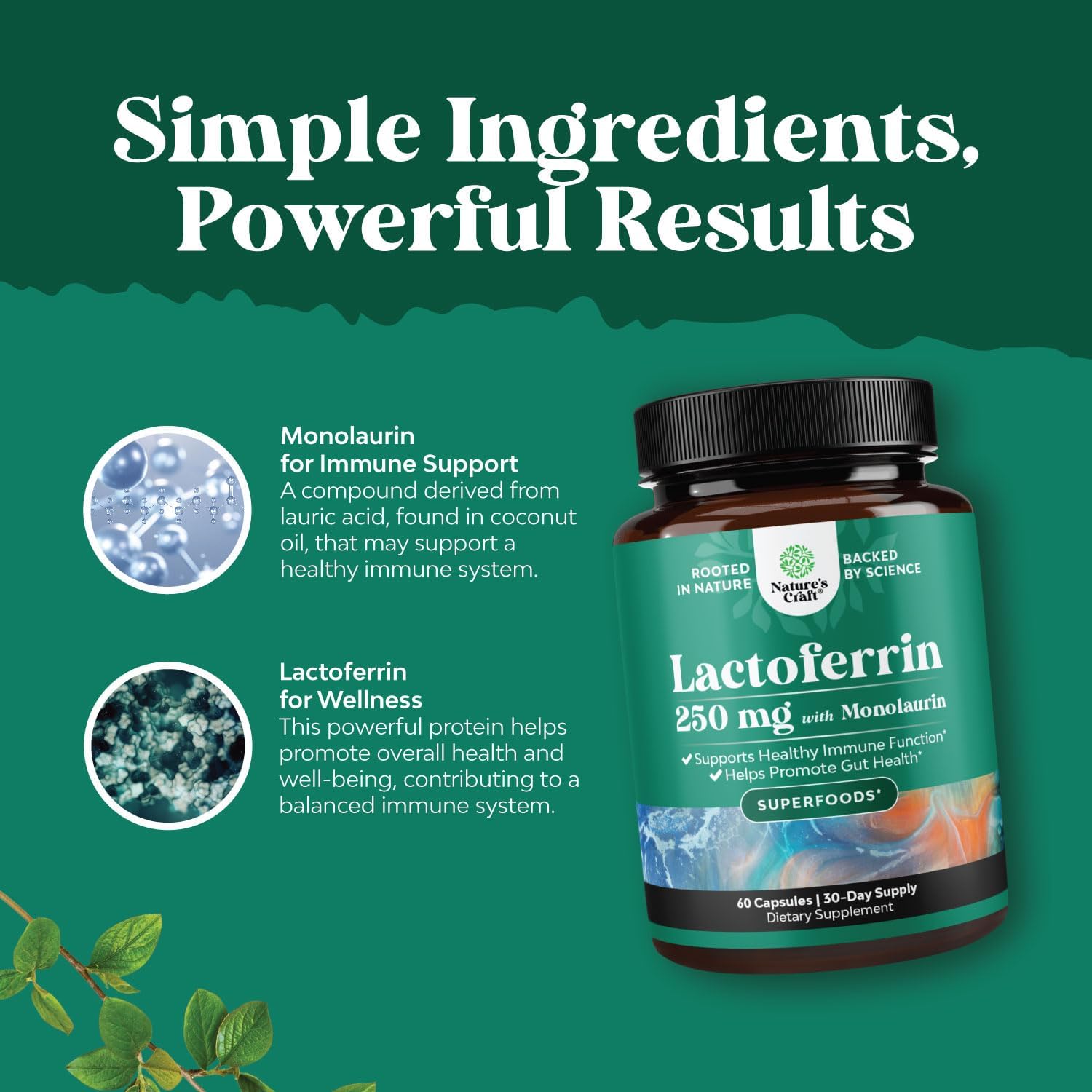 High Strength Lactoferrin & Monolaurin Supplement - 60 Vegetarian Capsules - görsel 4
