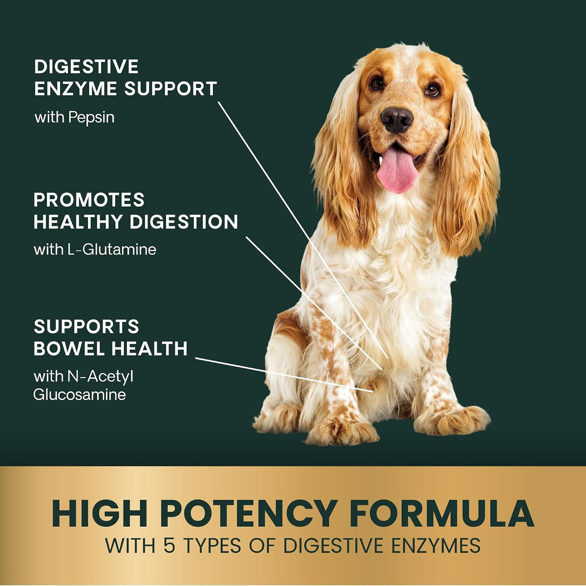 VetriScience Extra Strength Healthy Gut & Digestion Chewable Tablets – Probiotic & Enzyme Supplement for Dogs, 120 Tablets - görsel 4