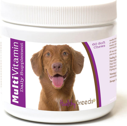 Healthy Breeds Nova Scotia Duck Tolling Retriever Multivitamin Soft Chews 60 Count