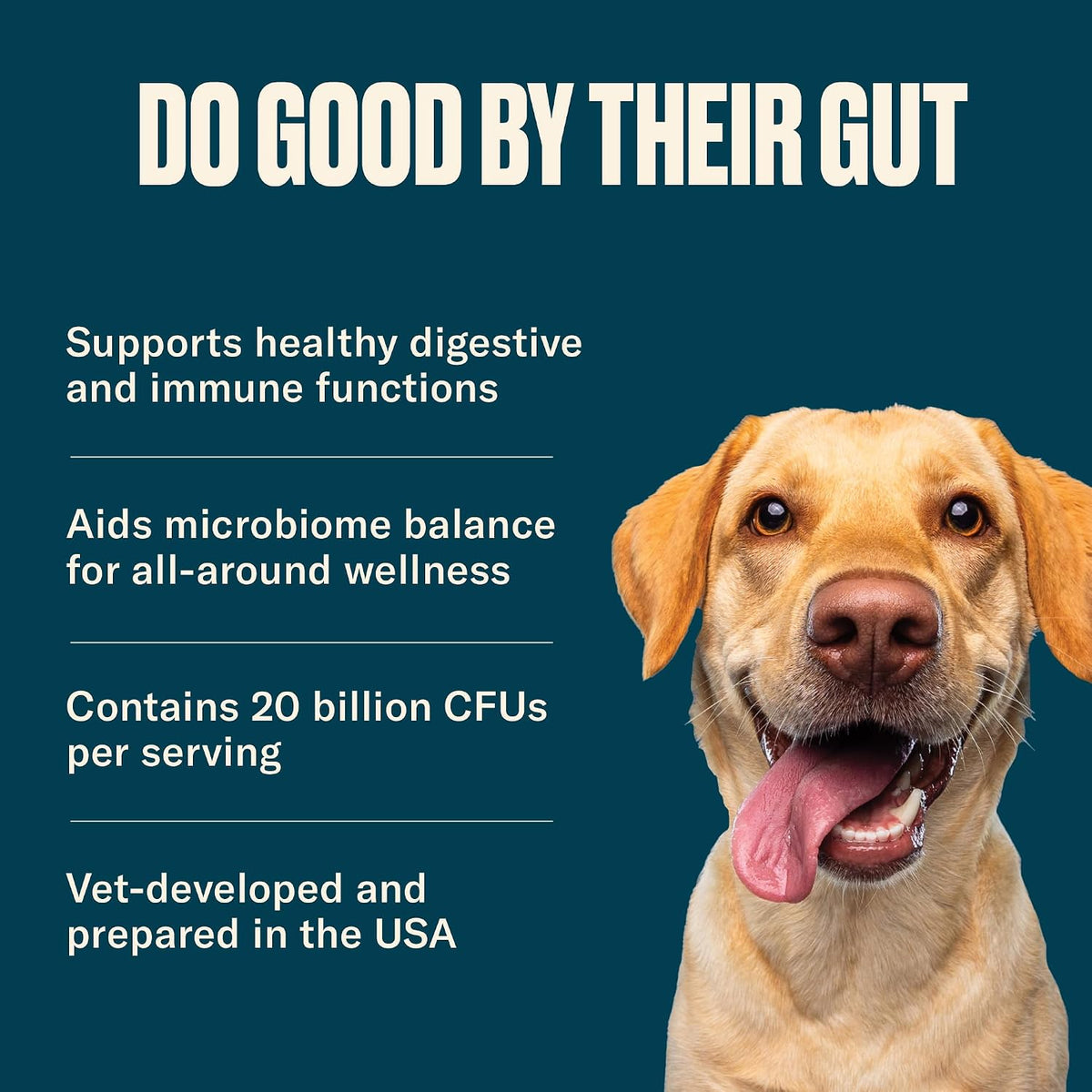 Nom Nom Full Spectrum Probiotic Support for Dogs - Prebiotic Fibre and Inulin Powder Blend - görsel 6
