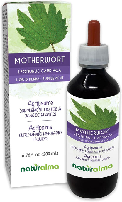Naturalma Motherwort (Leonurus cardiaca) Herb and Flowers Alcohol-Free Tincture - 120 ml Liquid Extract in Drops - Herbal Supplement - Vegan