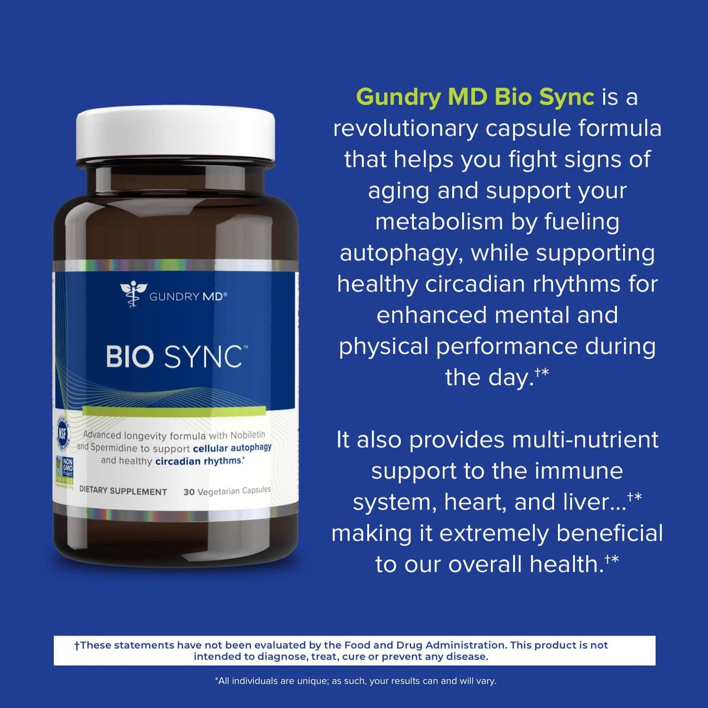 Gundry MD Bio Sync Food Supplement - Daytime Energy, Focus & Memory Support (30 Capsules) - görsel 3