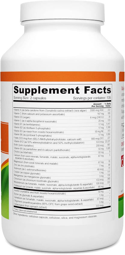 Wellness Resources Daily Energy Multivitamin - 270 Capsules