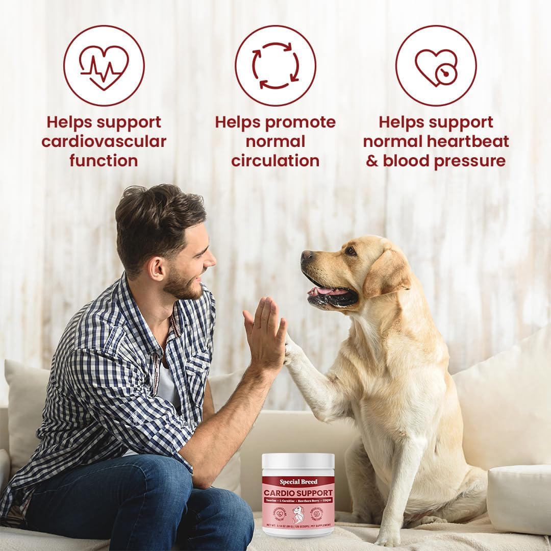 Special Breed Cardio Support for Dogs – Taurine, L-Carnitine, CoQ10 & Organic Hawthorn Berry Powder – 120 Servings - görsel 3