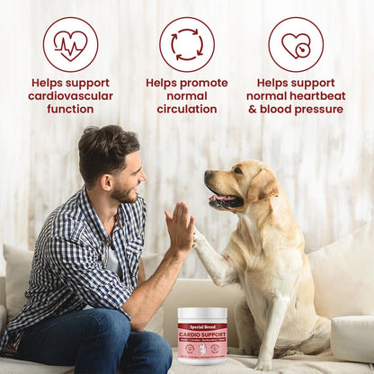 Special Breed Cardio Support for Dogs – Taurine, L-Carnitine, CoQ10 & Organic Hawthorn Berry Powder – 120 Servings