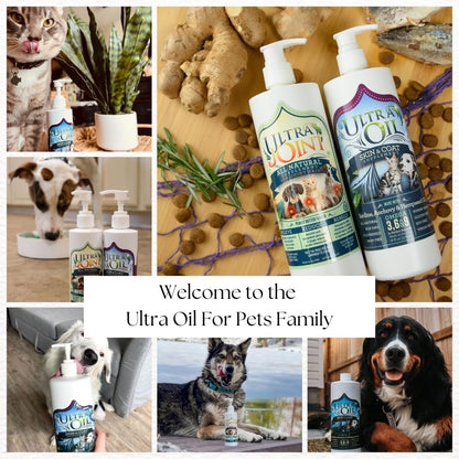 Ultra Oil Dog & Cat Supplement with Hemp, Flaxseed & Fish Oils - 946ml - For Dry Skin, Dull Coat, Hot Spots, Dandruff, Allergies