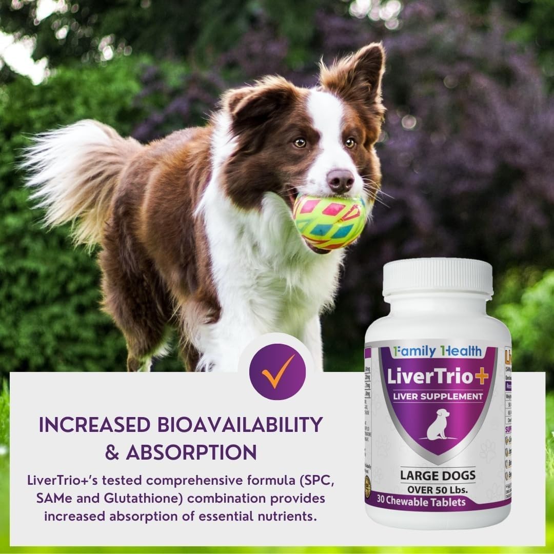 Comprehensive Liver Supplement (2 Pack - 60 Tablets), Combining SAMe, SPC, Silybin A+B, Glutathione, Chewable Tablets for Dogs 30 Tablets (2 x Small to Medium) - görsel 7
