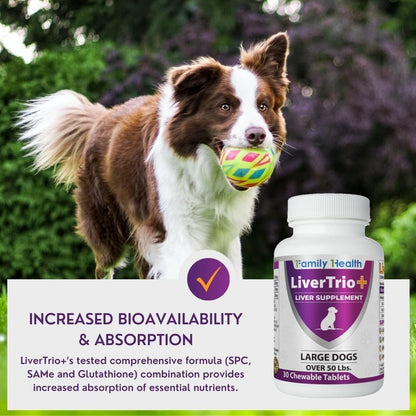 Comprehensive Liver Supplement (2 Pack - 60 Tablets), Combining SAMe, SPC, Silybin A+B, Glutathione, Chewable Tablets for Dogs 30 Tablets (2 x Small to Medium)