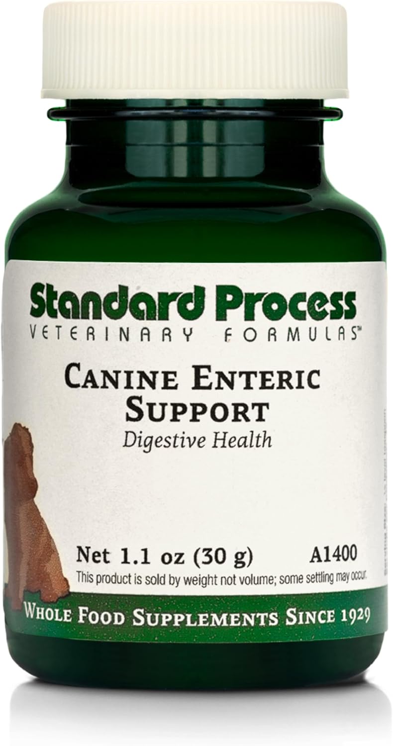 Standard Process Canine Enteric Support – Digestive Support for Dogs (30g) - görsel 1