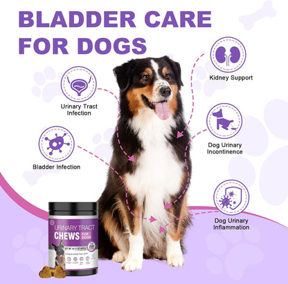 TTLXBL Cranberry Chews for Dogs – 200 Chews for Urinary Health Support