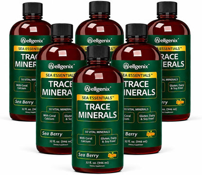 Wellgenix Sea Essentials Liquid Trace Minerals, 6-Pack, 946 ml Each