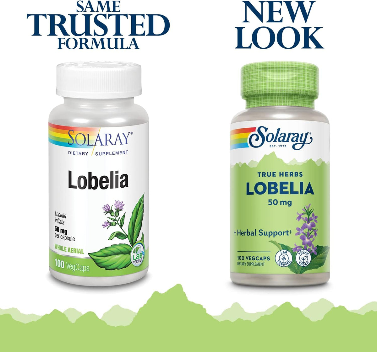 SOLARAY Lobelia Aerial 50mg – Herbal Supplement with Ginger Root, 100 VegCaps - görsel 2