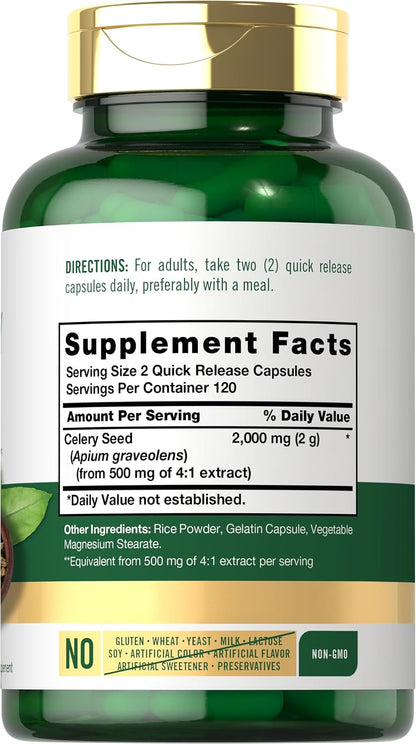 Carlyle Celery Seed Extract Capsules | 240 Count | Traditional Herbal Supplement | Non-GMO and Gluten-free Formula
